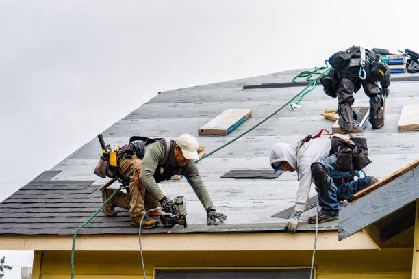 Professional Gutter Installation technician working in Nokomis, IL
